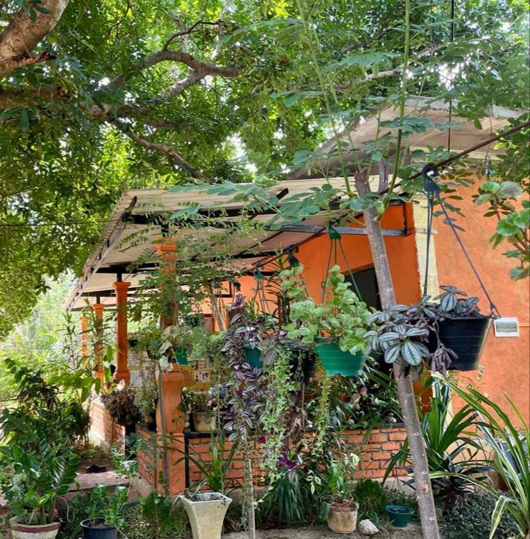 Oleena Home Stay Habarana Exterior foto