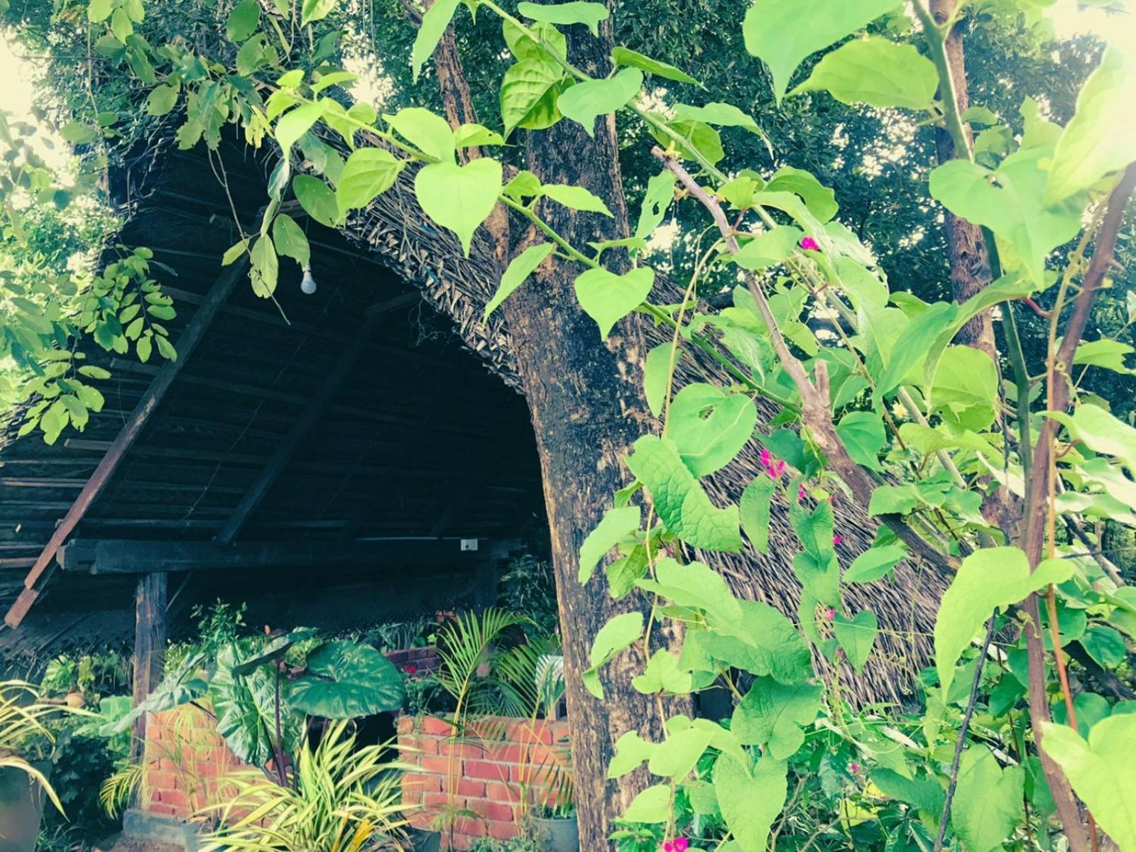Oleena Home Stay Habarana Exterior foto